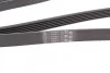 Ремінь генератора поліклиновий CONTINENTAL CONTITECH 6PK1815 (фото 3)
