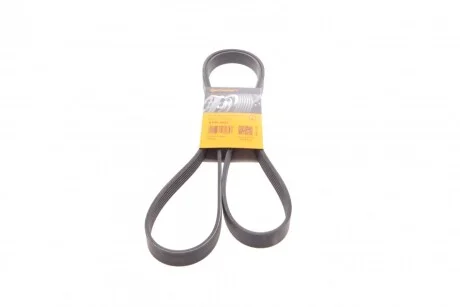 Ремінь генератора поліклиновий CONTINENTAL CONTITECH 6PK1815