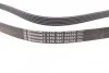 Ремінь CONTITECH 6PK1847 EXTRA (фото 2)