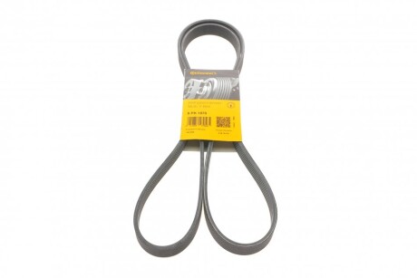 Ремінь генератора поліклиновий CONTINENTAL CONTITECH 6PK1870