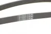 Ремінь генератора поліклиновий CONTINENTAL CONTITECH 6PK1880 (фото 3)