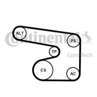 Комплект доріжкових пасків CONTITECH 6PK1900K1