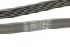Ремінь генератора поліклиновий CONTINENTAL CONTITECH 6PK2013 (фото 3)