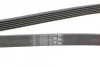 Ремінь генератора поліклиновий CONTINENTAL CONTITECH 6PK2040 (фото 3)