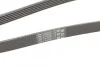 Ремінь генератора поліклиновий CONTINENTAL CONTITECH 6PK2050 (фото 3)