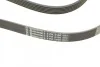 Ремінь генератора поліклиновий CONTINENTAL CONTITECH 6PK2100 (фото 3)
