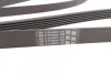 Ремень генератора MB W203 CONTITECH 6PK2135 (фото 3)
