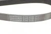 Ремінь генератора поліклиновий CONTINENTAL CONTITECH 6PK2150 (фото 4)