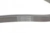 Ремінь генератора поліклиновий CONTINENTAL CONTITECH 6PK2190 (фото 3)