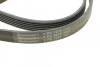 Ремінь генератора поліклиновий CONTINENTAL CONTITECH 6PK2205 (фото 3)