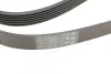 Ремінь генератора поліклиновий CONTINENTAL CONTITECH 6PK2215 (фото 3)