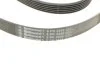 Ремінь генератора поліклиновий CONTINENTAL CONTITECH 6PK2245 (фото 3)