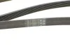 Ремінь генератора поліклиновий CONTINENTAL CONTITECH 6PK2245 (фото 4)