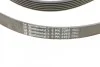Ремінь генератора поліклиновий CONTINENTAL CONTITECH 6PK2260 (фото 3)