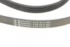 Ремінь генератора поліклиновий CONTINENTAL CONTITECH 6PK2310 (фото 3)