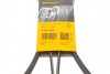 Ремінь генератора поліклиновий CONTINENTAL CONTITECH 6PK2310 (фото 6)