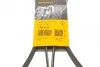 Ремінь генератора поліклиновий CONTINENTAL CONTITECH 6PK2310 (фото 6)