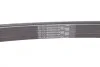 Ремінь генератора поліклиновий CONTINENTAL CONTITECH 6PK2360 (фото 3)