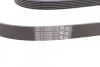 Ремінь генератора поліклиновий CONTINENTAL CONTITECH 6PK2404 (фото 2)