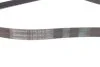 Ремінь генератора поліклиновий CONTINENTAL CONTITECH 6PK2415 (фото 2)