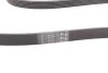Ремінь генератора поліклиновий CONTINENTAL CONTITECH 6PK2498 (фото 2)