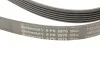 Ремінь генератора поліклиновий CONTINENTAL CONTITECH 6PK2870 (фото 4)