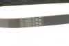 Ремінь генератора поліклиновий CONTINENTAL CONTITECH 6PK691 ELAST (фото 3)
