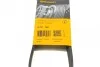Ремінь генератора поліклиновий CONTINENTAL CONTITECH 6PK780 (фото 6)