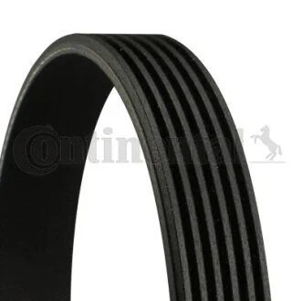 Доріжковий пас CONTITECH 6PK794ELAST