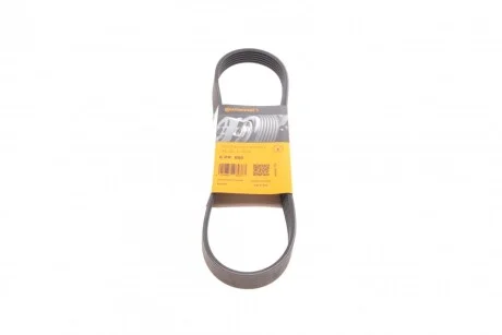 Ремінь генератора поліклиновий CONTINENTAL CONTITECH 6PK800