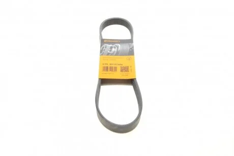 Ремінь поліклиновий Conti CONTITECH 6PK802EXTRA
