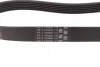 Ремінь генератора поліклиновий CONTINENTAL CONTITECH 6PK831 ELAST (фото 2)