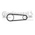 Ремінь генератора Ford Transit 2.0 DI/TDCi 00-06 CONTITECH 6PK831 ELAST T1