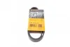 Ремінь генератора поліклиновий CONTINENTAL CONTITECH 6PK842 ELAST (фото 1)