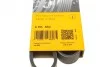 Ремінь генератора поліклиновий CONTINENTAL CONTITECH 6PK850 (фото 6)