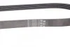 Ремінь генератора поліклиновий CONTINENTAL CONTITECH 6PK873 ELAST (фото 3)