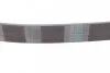 Ремінь CONTITECH 6PK884 (фото 3)