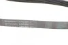 Ремінь генератора поліклиновий CONTINENTAL CONTITECH 6PK890 (фото 3)