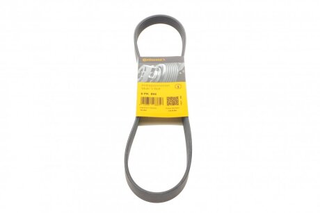 Ремінь генератора поліклиновий CONTINENTAL CONTITECH 6PK894