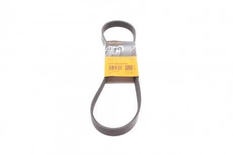 Ремінь генератора поліклиновий CONTINENTAL CONTITECH 6PK905 EXTRA