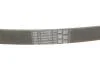 Ремінь поліклінової Conti CONTITECH 6PK922 EXTRA (фото 4)