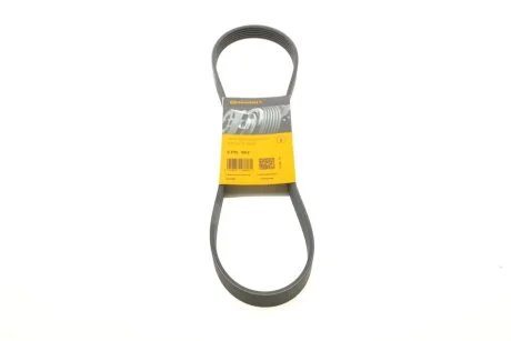 Ремінь генератора поліклиновий CONTINENTAL CONTITECH 6PK962