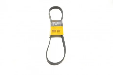 Ремінь генератора поліклиновий CONTINENTAL CONTITECH 7PK1145