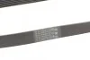 Ремінь генератора поліклиновий CONTINENTAL CONTITECH 7PK1153 (фото 3)