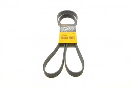 Ремінь CONTITECH 7PK1855