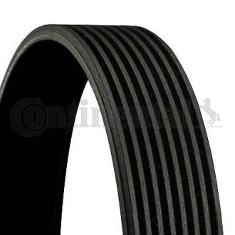 Поліклиновий ремінь CONTITECH 8PK1162 EXTRA