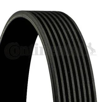 Доріжковий пас CONTITECH 8PK1165