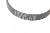 CONTITECH 8PK1376 (фото 4)