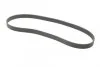 CONTITECH 8PK1376 (фото 5)
