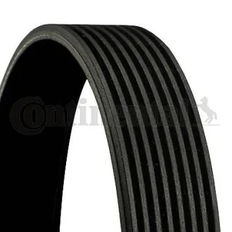 Доріжковий пас CONTITECH 8PK2630
